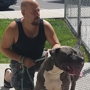 Profile Picture of Tod Marchant (@todmarchant343) on Youtube