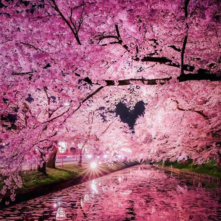 Profile Picture of Dawn Brooks (@@sherrysherrisheree) on Tiktok