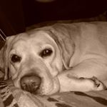 Profile Picture of Roberto Ventrice (@roberto.ventrice) on Instagram