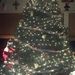 Profile Picture of Debbie Duggan (@deborahduggan) on Pinterest