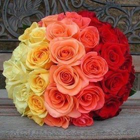 Profile Picture of Kimberly Nunnery (@kim27330) on Pinterest