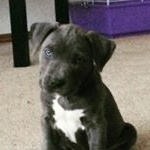 Profile Picture of Jason (@surges11) on Instagram