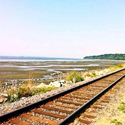 Profile Picture of Paul Weihao Zhu (@zhuweihao29) on Twitter