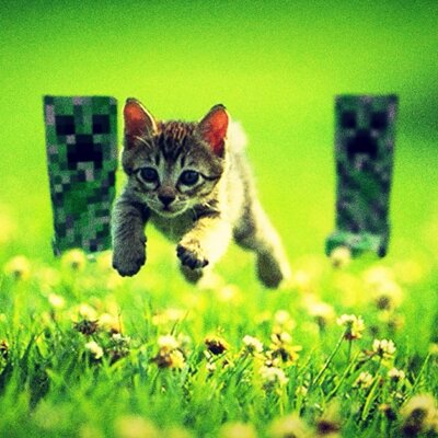 Profile Picture of Martin Neira (@martinneira777) on Twitter