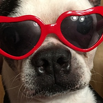 Profile Picture of richard walley (@richardwalley1) on Flickr