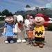 Profile Picture of Lisa Helsel (@lisarhelsel) on Pinterest