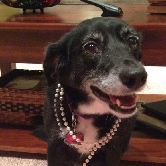 Profile Picture of Sarah Coddington (@scodd) on Poshmark