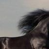 Profile Picture of dorisheisenmanf1 (@@dorisheisenmanf1) on Tiktok