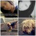 Profile Picture of Melina Wickert (@melina.wickert.14) on Facebook