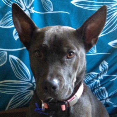 Profile Picture of Kenyon McWilliams (@kwm1966) on Twitter