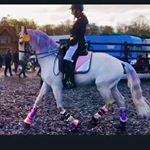 Profile Picture of Rosalind Campbell (@rosa67campbell) on Instagram
