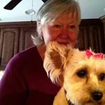 Profile Picture of Patricia Watson Chaimowitz (@watsonchaimowitz) on Instagram