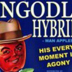 Guy Milner - Instagram Profile Picture of Guy Milner (@guymilner) on Instagram