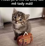 Profile Picture of Adam Kopecny (@adam.kopecny.7) on Facebook