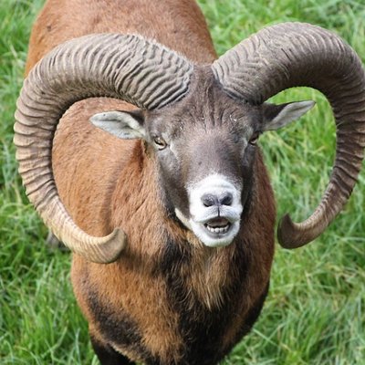 Profile Picture of David Bock (@DaveRBock) on Twitter