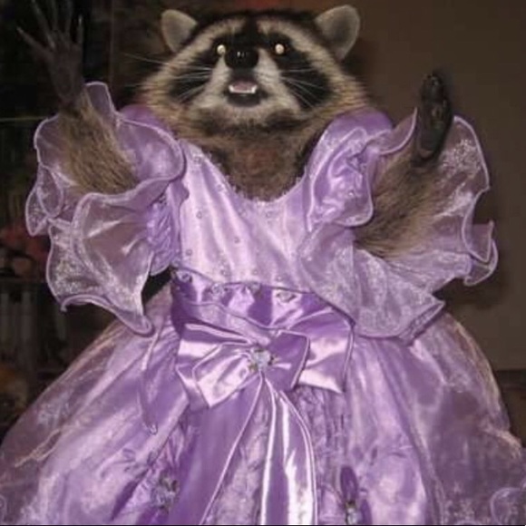 Profile Picture of Madison Mudrak (@epicnewspaper) on Poshmark