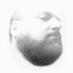 Profile Picture of Dan Rabin (@danrabin) on Twitter