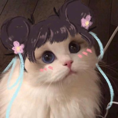 BrandyJoyceQ - Twitter Profile Picture of BrandyJoyceQ (@BrandyJoyce97) on Twitter