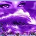 Profile Picture of Joel Weigandt (@joelweigandt) on Pinterest