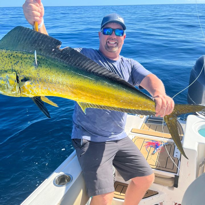 Profile Picture of Terry Rose (@terryrose83) on Tiktok