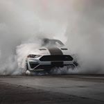 Profile Picture of Thomas Prouse (@thomasprouse) on Instagram