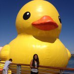 Stephanie Solorio - Instagram Profile Picture of Stephanie Solorio (@stefy_1314) on Instagram