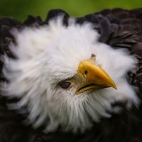 Profile Picture of Ken Williams (@ken-williams-73) on Quora
