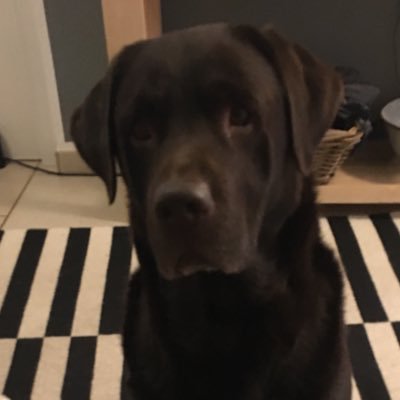 Profile Picture of Jakob Muth (@JakobMuth) on Twitter
