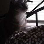 Profile Picture of Dawn McMaster (@dawn_mcmaster) on Instagram