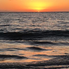 Profile Picture of Tamara Koester (@trikoester) on Pinterest