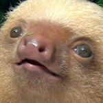 Profile Picture of Jenna MacNeill (@jennamacneill1._.1) on Instagram