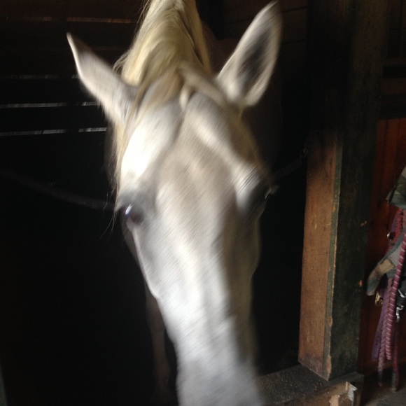 Profile Picture of Jen Randall (@kast04) on Poshmark