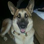 Profile Picture of Dawn Griffin-Luce (@dlboo62) on Instagram