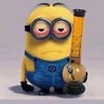 Profile Picture of Glasgow (@thegreen_don) on Instagram