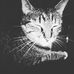 Profile Picture of Ava Baumann (@ava.baumann.75) on Facebook