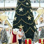 Profile Picture of Craig Curtis (@craigcurtis6) on Instagram