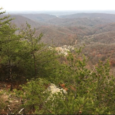 Profile Picture of Eric Tooley (@EricTooley12) on Twitter