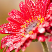 Profile Picture of Jigar Chaudhari (@jigarchaudhari6271) on Youtube