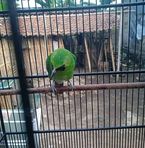 Profile Picture of Sapu Jagat Tim (@Sapu-Jagat-Tim) on Facebook
