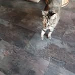 Profile Picture of Vanlenijn Kermas (@Vanlenijn-Kermas) on Facebook