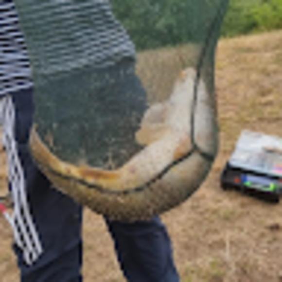 Profile Picture of David Welsh (@welsh19871234) on Poshmark