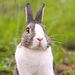 Profile Picture of Kevin Severson (@kevins9711) on Pinterest
