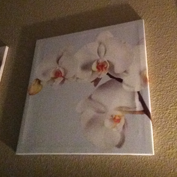 Profile Picture of Iisa Govier (@lilylovebug) on Poshmark