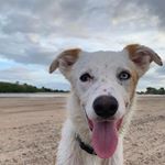 Tara Nugent - Instagram Profile Picture of Tara Nugent (@tara._privv88) on Instagram