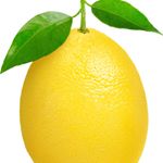 Profile Picture of John Lemon🍋 (@john.__.lemon) on Instagram