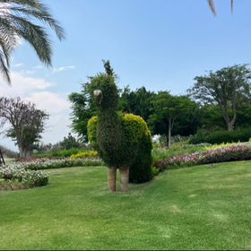 Profile Picture of Silvia Ponce Perez (@silviaponcepere) on Pinterest