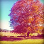 Profile Picture of james p dumlao (@jamespdumlao) on Instagram