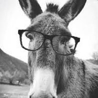 Profile Picture of Alex Golden (@Locksmith_Alex) on Twitter