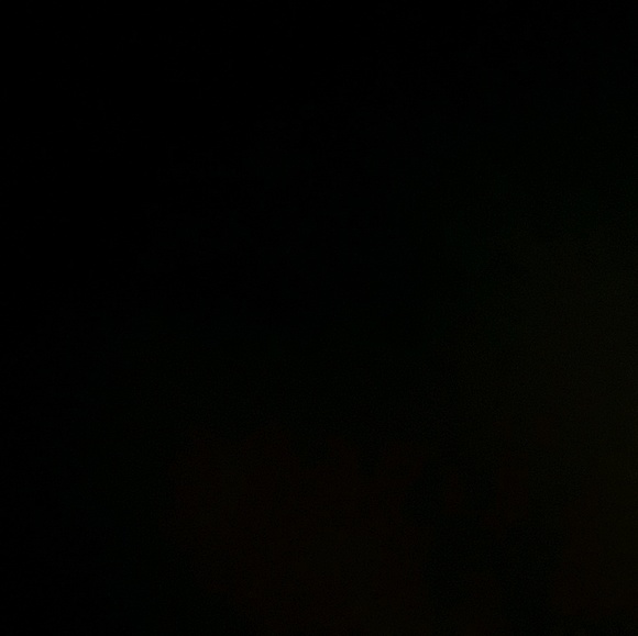 Profile Picture of Daved Gray (@graydog1290) on Poshmark