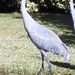 Profile Picture of Beverly Giesecke (@beverlygiesecke) on Pinterest